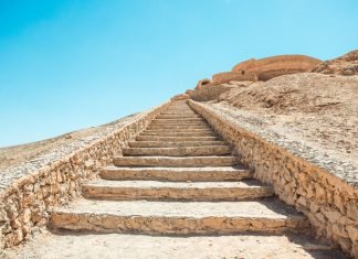 El libro de mi destino