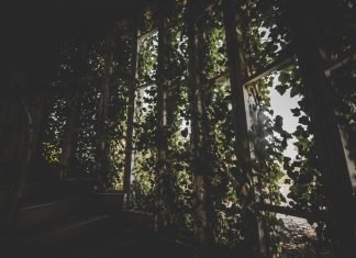 La ironía de lo real