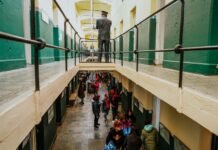 Por el día de la Antártida, el Museo Antártico de Ushuaia abrió en sus puertas de forma gratuita