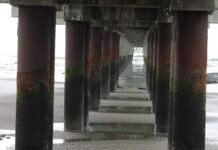 Un impuesto con destino incierto: los cigarrillos y el puerto