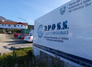 Aumentar y subsidiar: la paradoja de la DPOSS