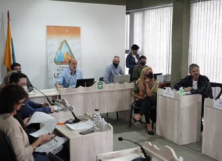 Un tema recurrente en Ushuaia: ¿Qué hacer con los perros?