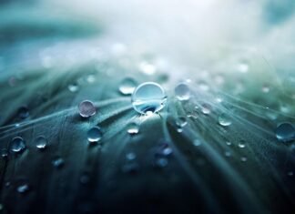 La originalidad de Macedonio