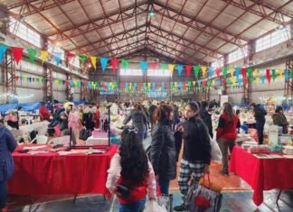 Nuevo récord en las ventas del mercado concentrador