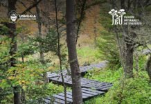 Ushuaia abrió las visitas guiadas al Jardín Botánico del Cerro Bonete