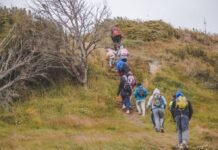 Inician las colonias de verano 2024 en Tolhuin