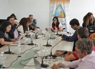 Avila y Monte de Oca presiden las comisiones de legislación y digesto