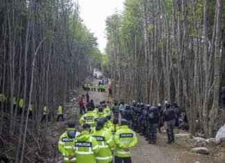 La municipalidad de Ushuaia se constituyó como querellante por la ocupación ilegal de terrenos municipales