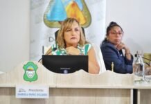 Ushuaia avanza con el proyecto de pavimentación de calle los ñires y del paseo costero