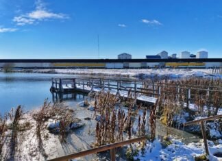 Río Grande: el municipio habilitó las actividades sobre hielo en laguna de los patos