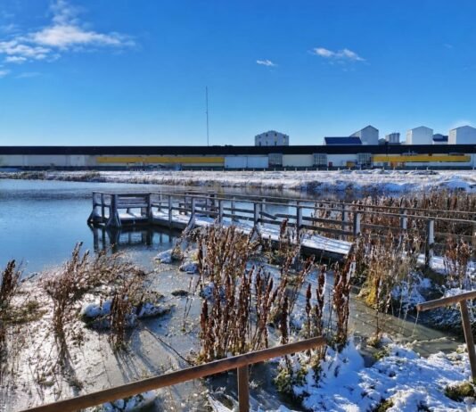 Río Grande: el municipio habilitó las actividades sobre hielo en laguna de los patos
