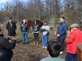 Dos Santos y productores recibieron al ministro De Vita y recorrieron sectores productivos de Tolhuin