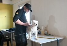 Jornada de Bienestar Animal concretó vacunaciones, desparasitaciones y castraciones en el CIC
