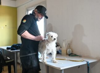 Jornada de Bienestar Animal concretó vacunaciones, desparasitaciones y castraciones en el CIC