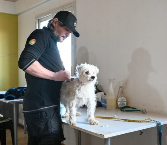 Jornada de Bienestar Animal concretó vacunaciones, desparasitaciones y castraciones en el CIC